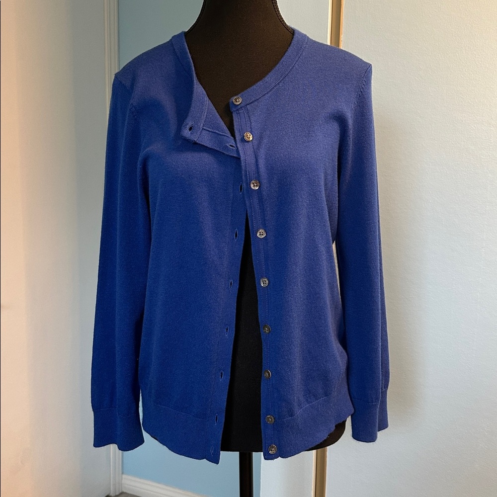 Banana Republic blue cardigan, large
